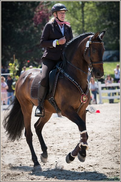 Pferd International 060